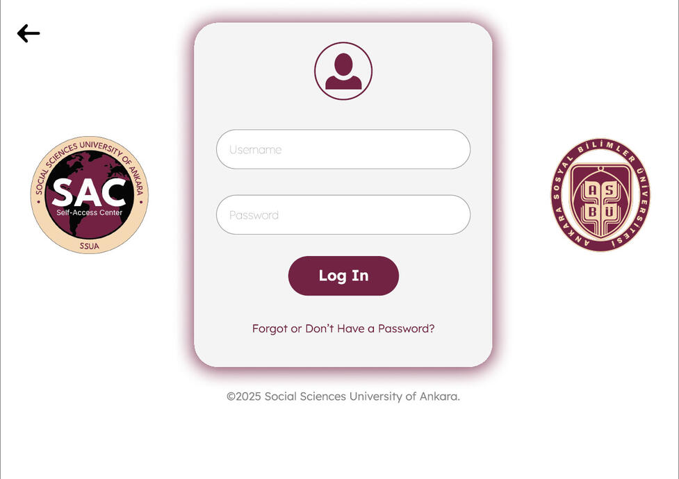 Website Design